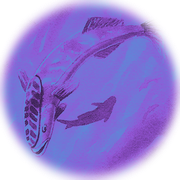 Cyber Remora