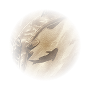 Remora Engraving